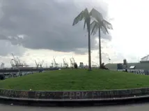 Photo of palm trees with the Hamburg harbour in the background.