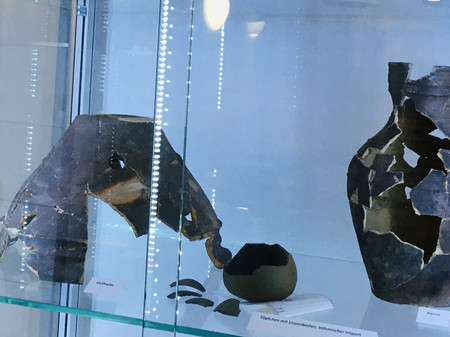 Keramiksammlung am im 1. OG am KR 14 (Foto V. Diederich)