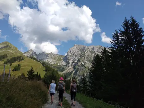 Photo of seminar members hiking.