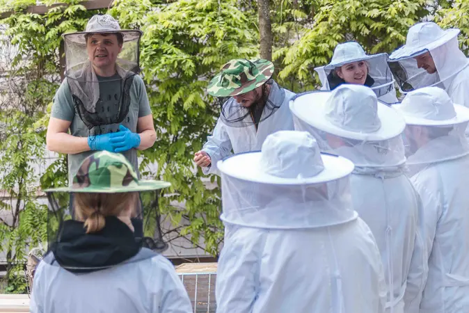 Imker, Imkerseminar, UniBienen, Bienen, Nachaltigkeit, Universität Bamberg, Schulimkerei