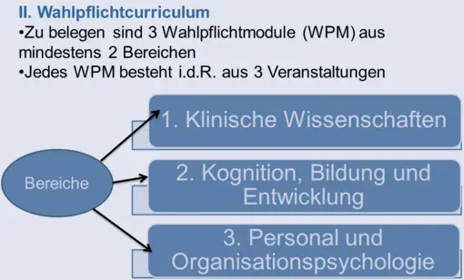 Übersicht über den Wahlpflichtbereich