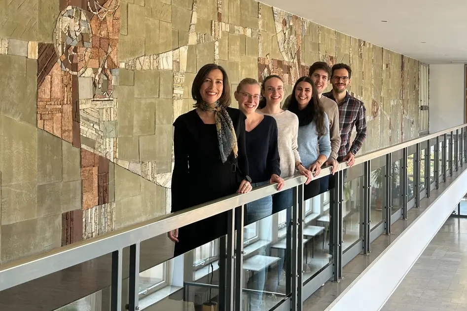 Lehrstuhlteam - Lehrstuhl für BWL, insb. Internationale Rechnungslegung ...