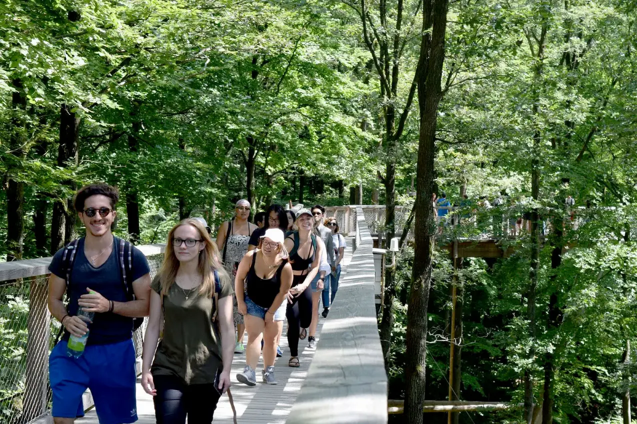 Teilnehmende der ISU bei einer Wanderung durch den Wald.