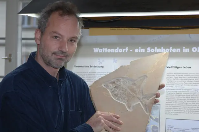 Dr. Matthias Mäuser