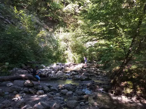 Photo of seminar members taking a break along a river.