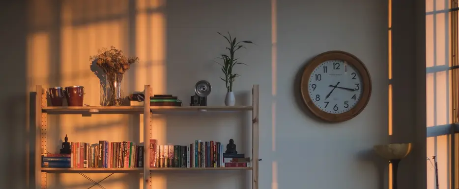 Zu sehen ist ein Bild eines Raums, in den etwas Sonnenlicht fällt. Vor einer Wand steht ein Regal mit Büchern, Pflanzen, einer alten Kamera, Musikinstrumenten, Blumen in einer Vase und einem kleinen Denkmal darauf. Neben dem Regal hängt eine Uhr an der Wand, die 07:17 Uhr zeigt.
