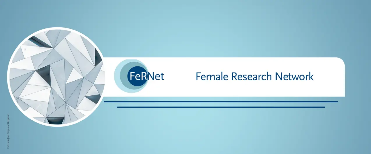 This is a banner with a blue background for the page of 'FeRNet - Program for female scientists to support an academic career'. A circular image features a geometric pattern consisting of many interconnected triangles in different shades of grey that together form a complex, abstract design. The triangles are arranged in such a way that they create a kind of three-dimensional effect.