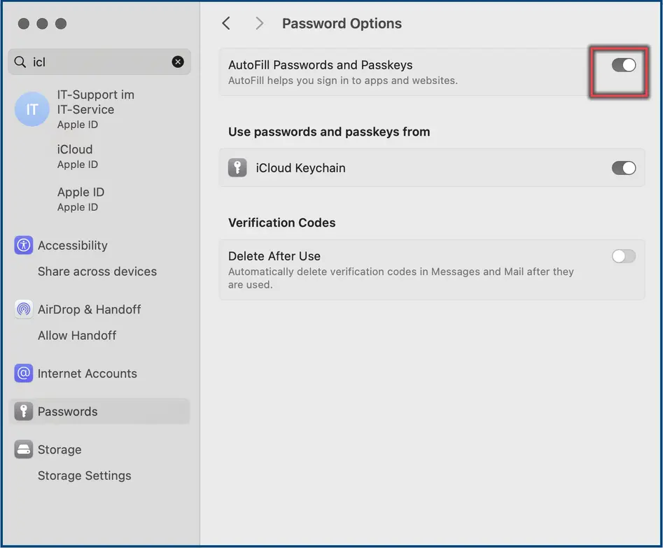 Screenshot 3: Password Options in the Settings