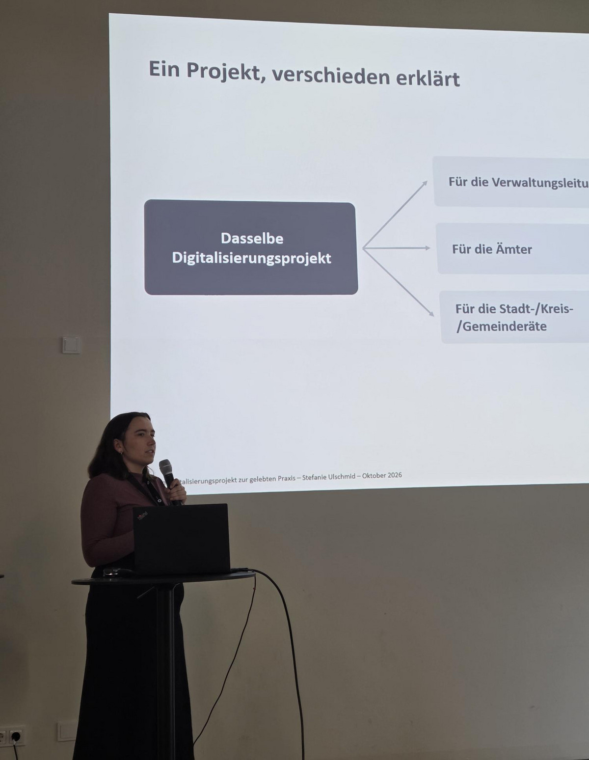 Stefanie Ulschmid talks about digital transformation in public ...