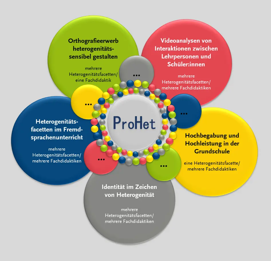 Projektstruktur ProHet - Professionalisierung im Hinblick auf Heterogenität und Diversität