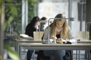 lernende Studenten an ihrem Arbeitsplatz in der Bibliothek