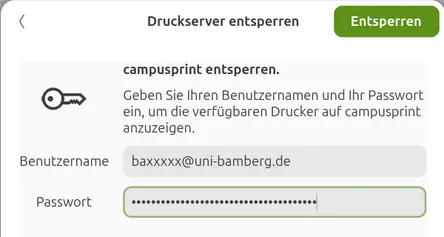 view Unlock the print server