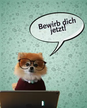 Ein Hund, der eine Brille trägt und von seinem Laptop aufblickt. Er sagt "bewirb dich jetzt!"