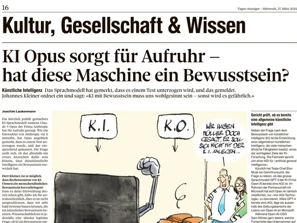 Preview of Article on Tagesanzeiger.ch