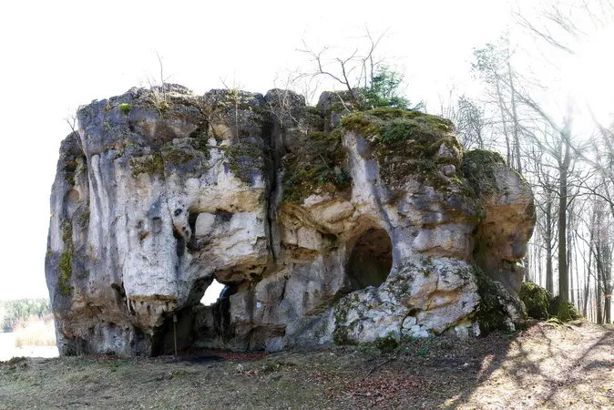 Am Hohlen Stein bei Schwabthal hat ein archäologisches Team der Universität Bamberg ca. 4.600 Jahre alten Pferdeknochen mit sehr guter Erhaltung alter DNA gefunden.