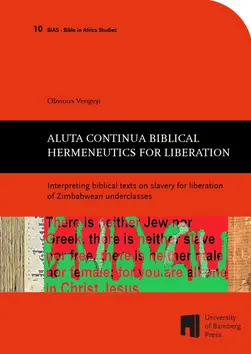 Buchcover von "Aluta continua biblical hermeneutics for liberation"