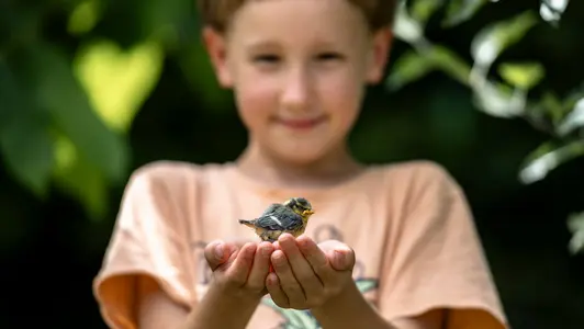 Kind mit Vogel in der Hand