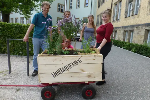 Das erste Hochbeet