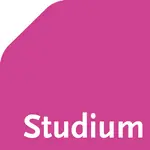 Studium Didaktik der Kunst