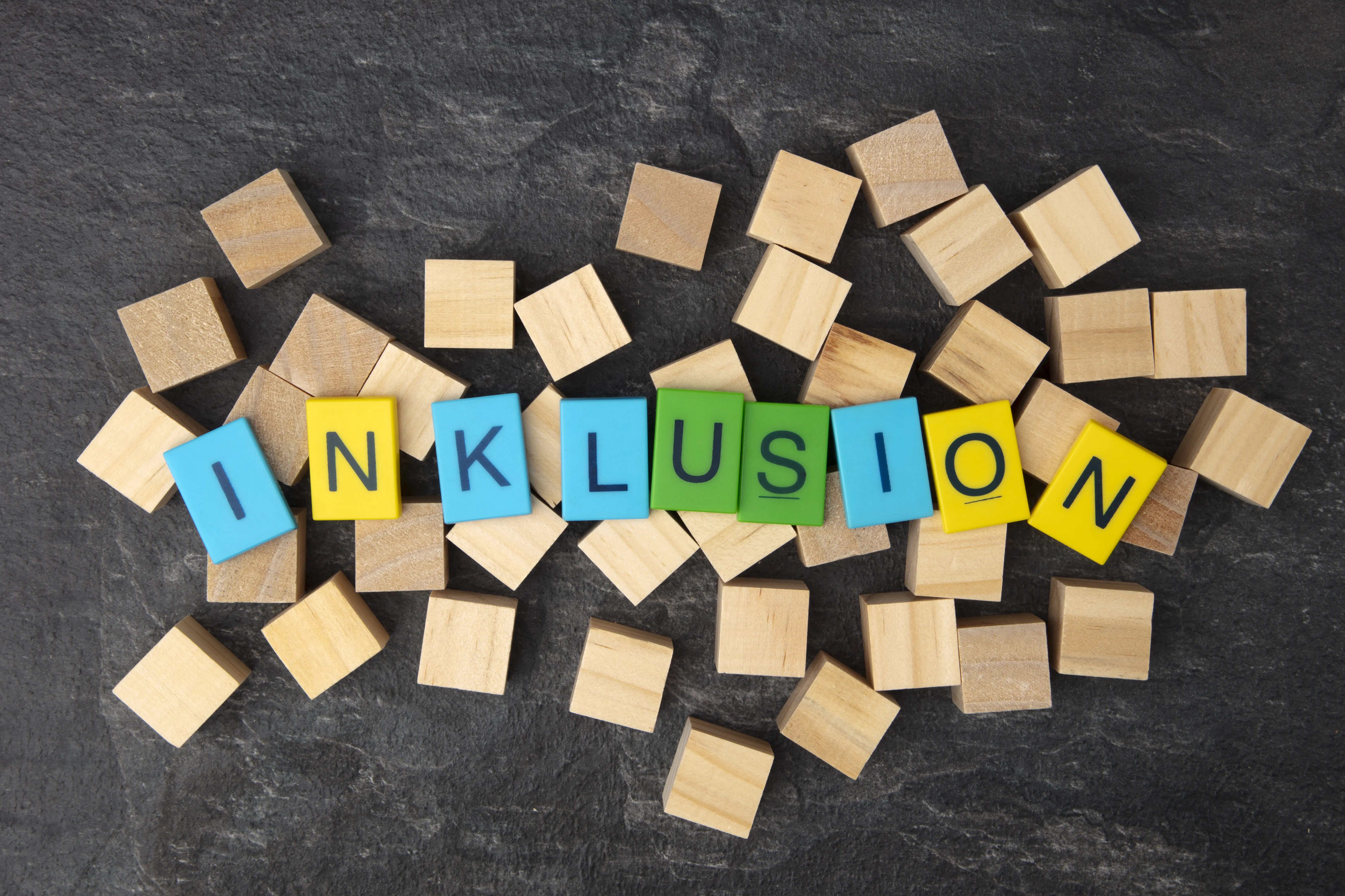 Inklusive Begabtenförderung und Schul-/Unterrichtsentwicklung