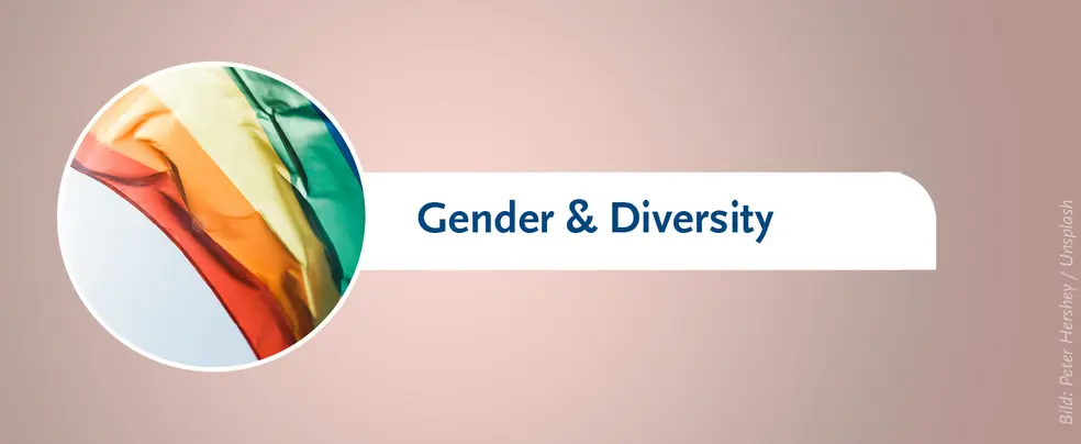 This is a banner with a pink and grey background for the 'Gender and Diversity' page. A small circular image shows a rainbow flag moving in the wind.
