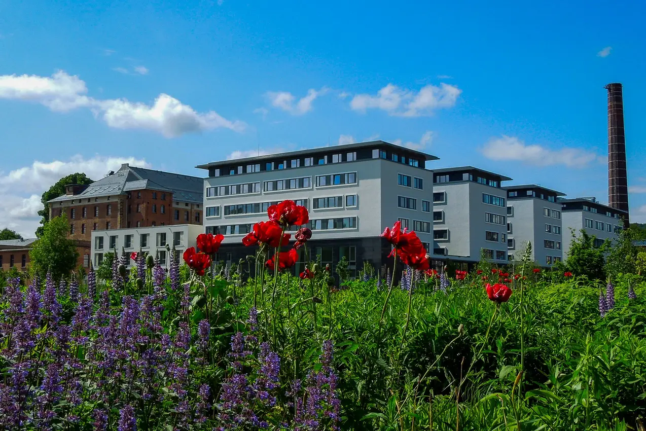 Universitätsgebäude auf der ERBA-Insel im Sommer