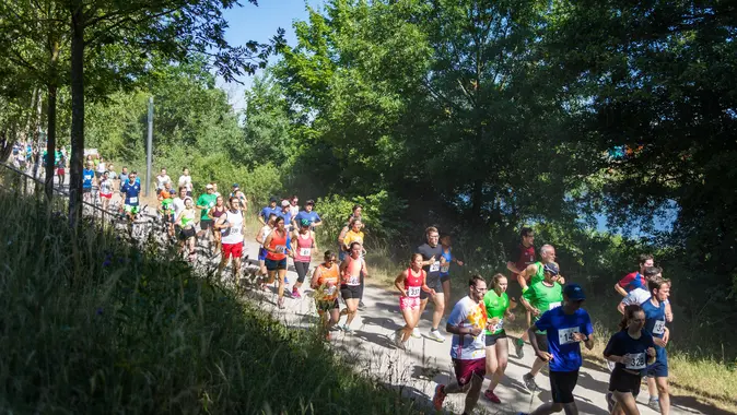 Läufer*innen joggen durch bewaldete Landschaft