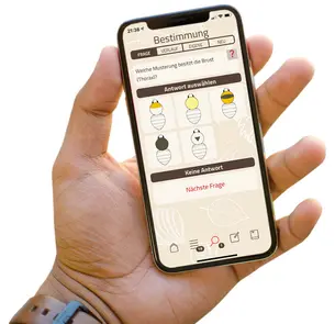 Mithilfe von Fragen und Bildern können auch Laien Hummeln bestimmen. Quelle: Universität Bamberg