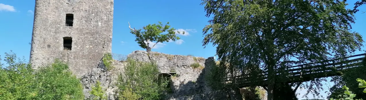 Die Ruine der Steinburg Neideck (Fränkische Schweiz)