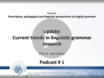 [Translate to English:] A video podcast introducing new linguistic perspectives, such as the focus on factors in the extralinguistic situation and within the speaker’s cognitive system. 