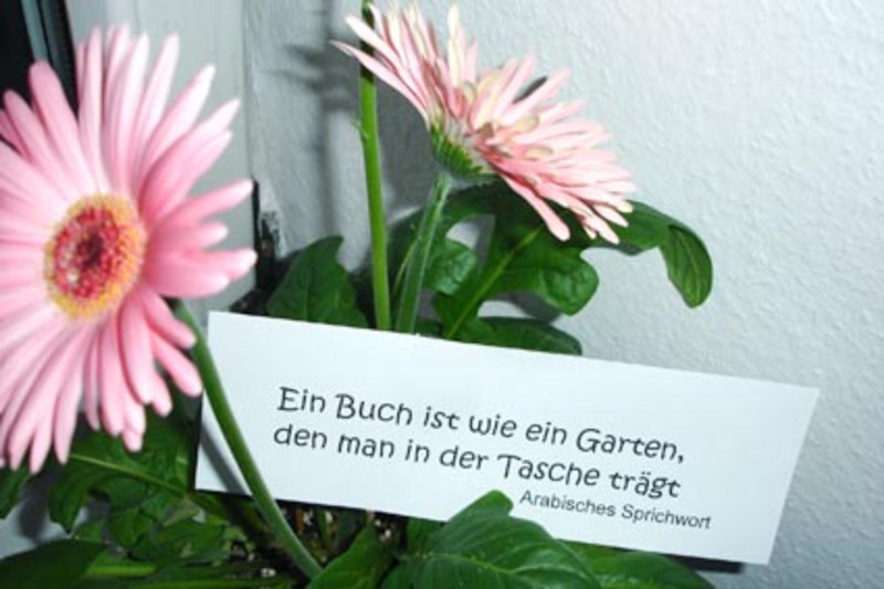 „Ein Buch ist wie ein Garten, den man in der Tasche trägt“ NewsArchiv