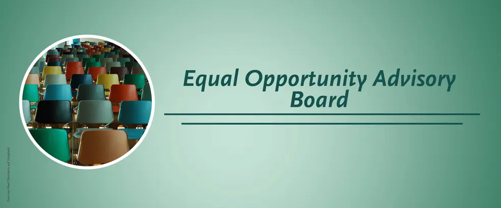 The image is a banner with a green background for the Equal Opportunity Advisory Board page. Many colorful chairs can be seen in a circular image.