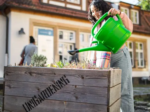 Unigardening in Bamberg Studentin gießt die Pflanzen am Markusgelände
