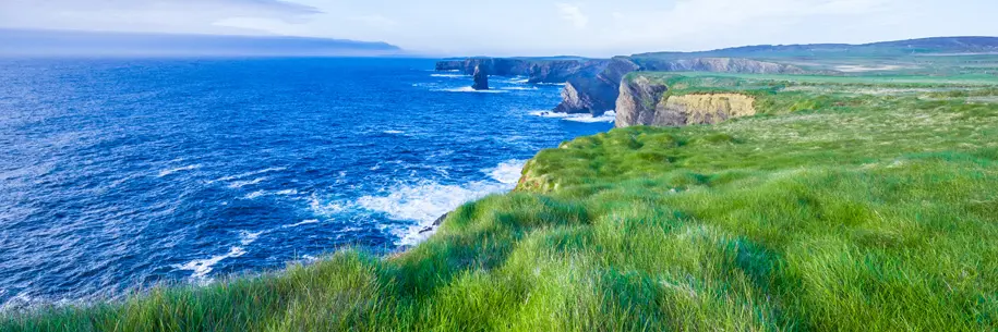 The grasslands at the Cliffs of Kilkee in Ireland