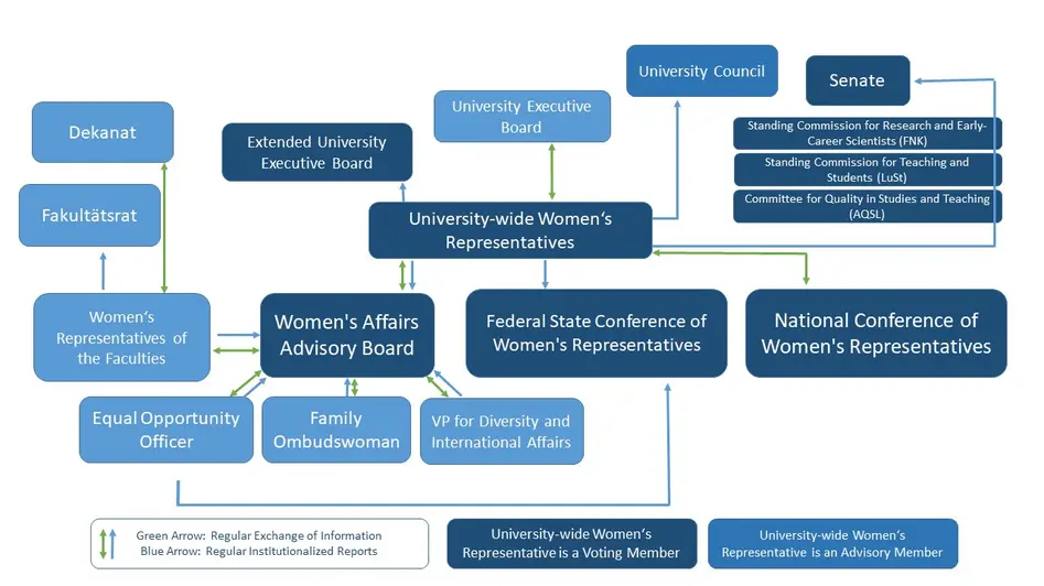 A diagram of the work of the women's representative as a member of and in cooperation with university committees, the Federal State Conference of Women's Representatives (LaKoF), and the National Conference of Women's Representatives (BuKoF).