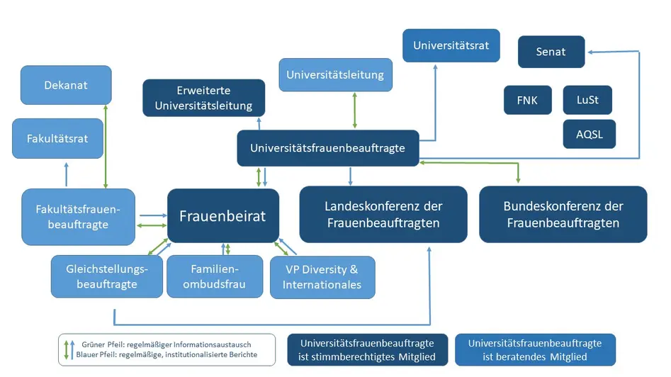 Organigramm von universitären Gremien und Organisationen, die mit den Frauenbeauftragten institutionell in Verbindung stehen