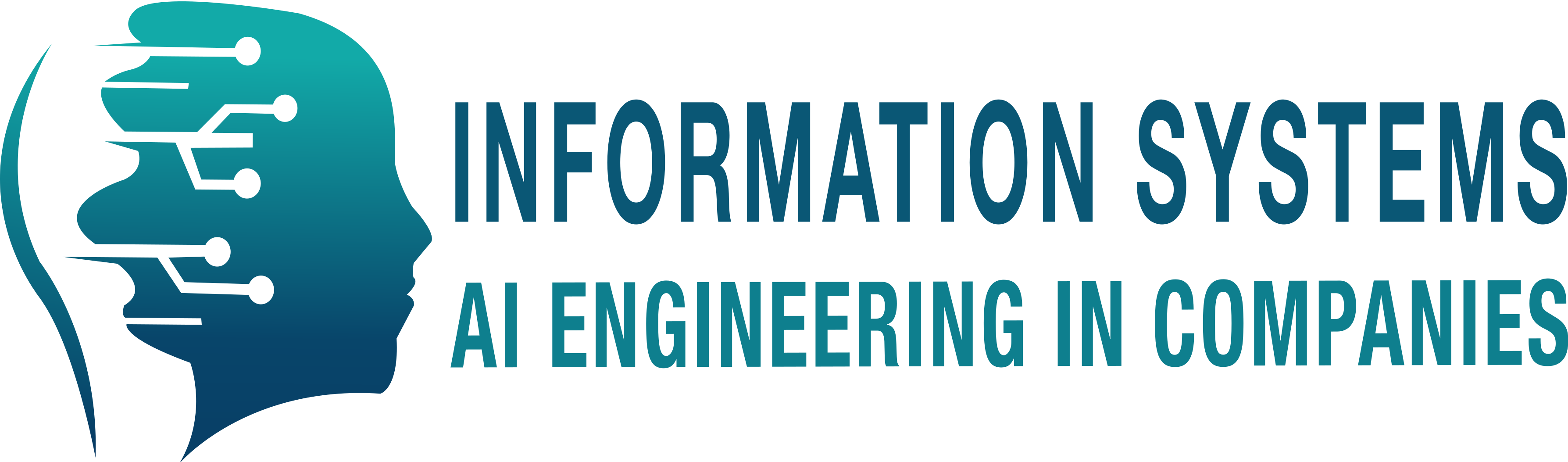 Logo Chair of Information Systems, esp. AI Engineering in Companies