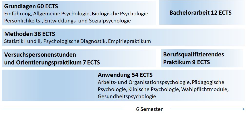 Profil und Struktur des Studiengangs - Bachelorstudiengang Psychologie