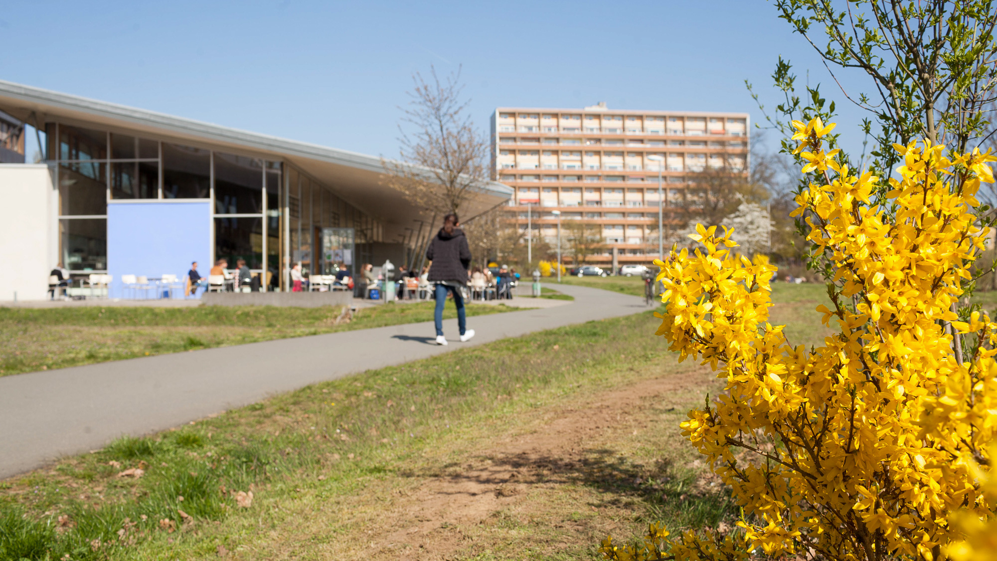 Campus an der Feldkirchenstraße – Standort der Fakultät Sozial- und Wirtschaftswissenschaften