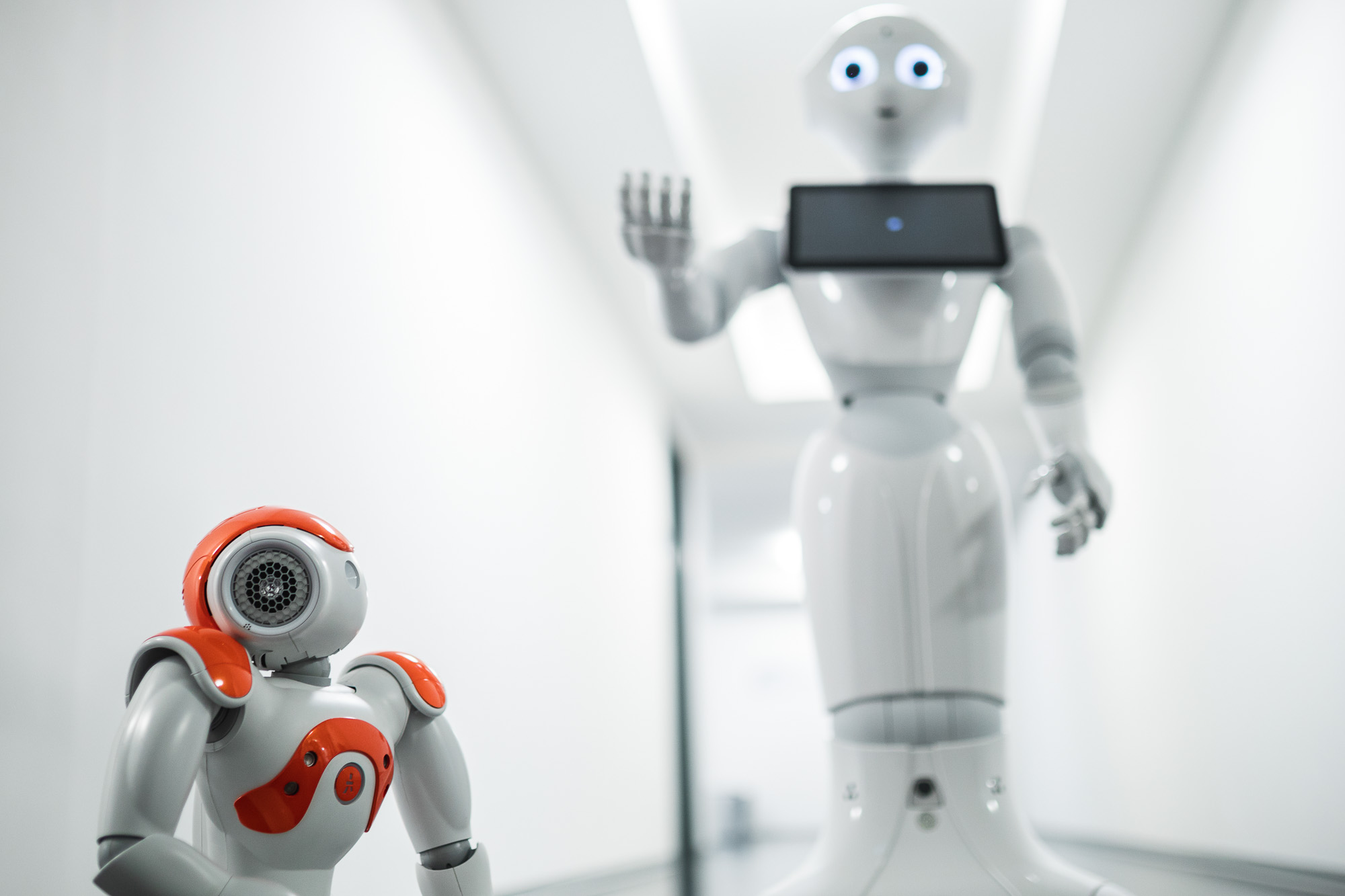 zwei Roboter der Uni Bamberg